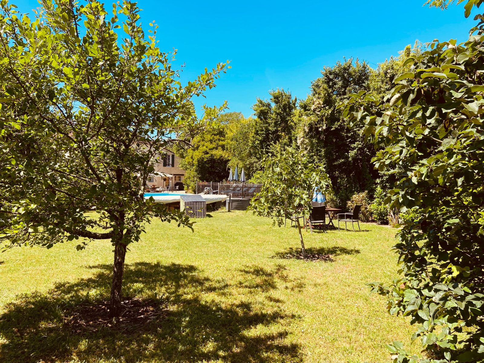 Garden Trees