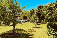 Garden Trees