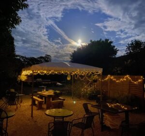 Garden at night